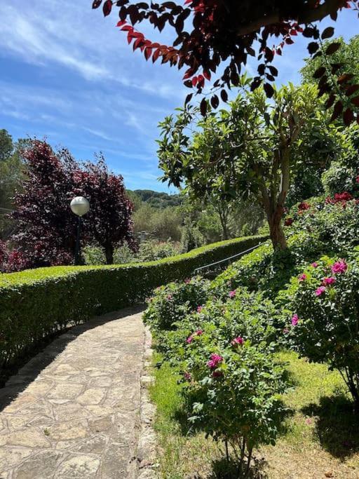 Apartamento De Lujo Vergel Suite San Martín de Valdeiglesias Εξωτερικό φωτογραφία